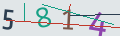 verifycode